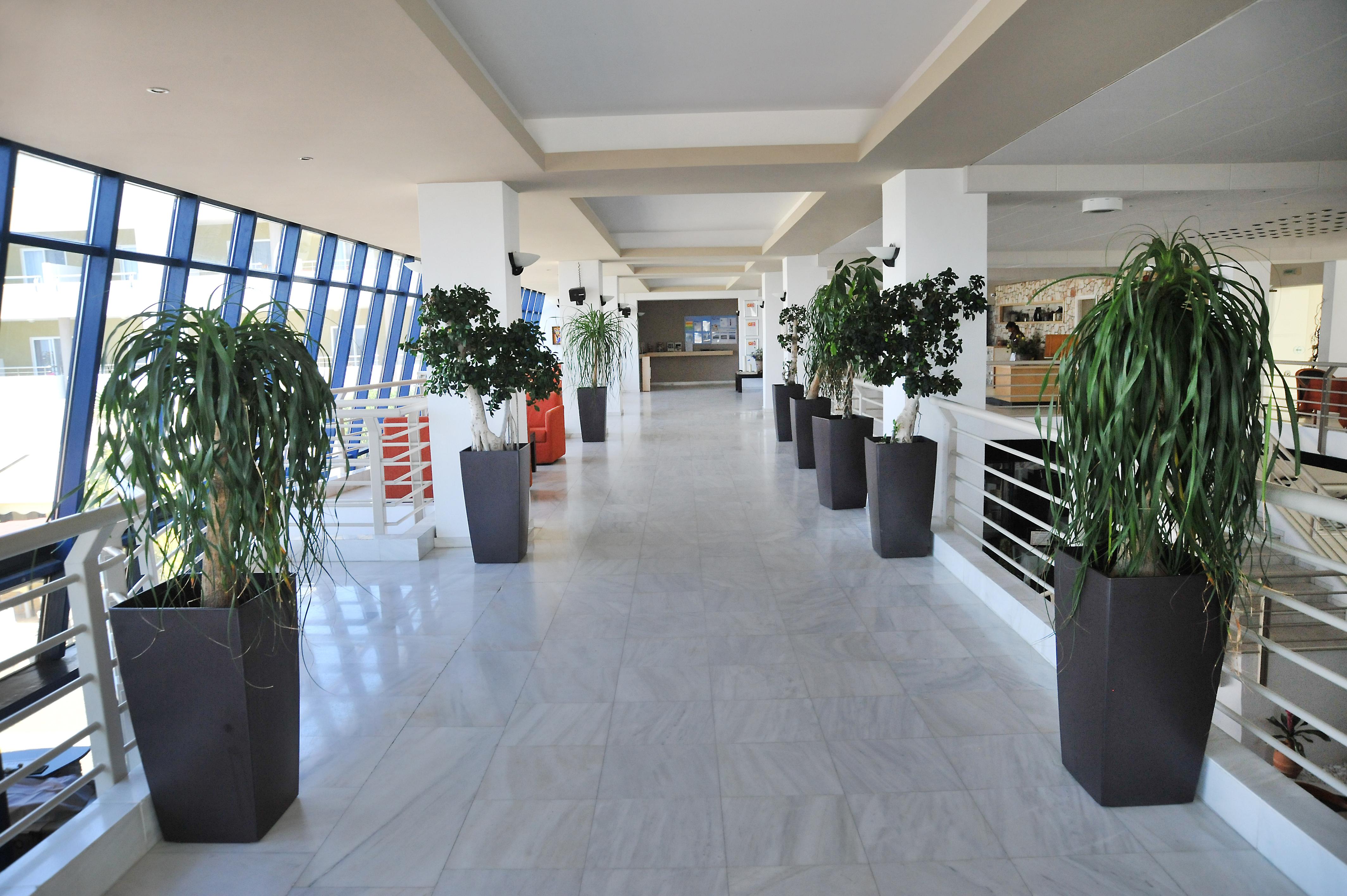 Kos Palace Тигаки Экстерьер фото